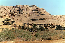 Oasis de Ras El Qattara, Egypte 