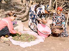Village Women in Tunisia 