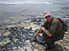 oil covered rocky shore and Rick Steiner IUCN Adviser