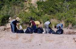 Group of volunteers cleaning up a beach in Catalunya. Photo: Depana.