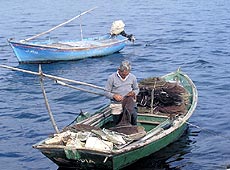 Pesca tradicional en el Mediterraneo. Foto cedida por: CENEAM - O.A. PARQUES NACIONALES. Autor: Antonio Fernandez-Cid.