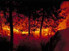 Fires are one of the main threats to the Mediterranean forests. Foto: CENEAM - O.A. PARQUES NACIONALES. Autor: Sergio Ruiz Verdú.