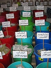Plantas medicionales en Egipto. Foto: UICN.
