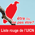 IUCN Red List 2007