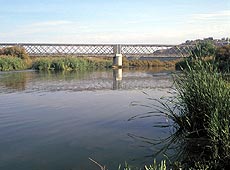 Río Jarama (España). Foto: CENEAM - O.A. PARQUES NACIONALES. Autor: Antonio Moreno Rodríguez.